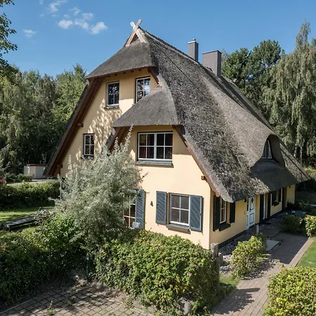 Apartamento Souterrain Ferienwohnung In Dierhagen